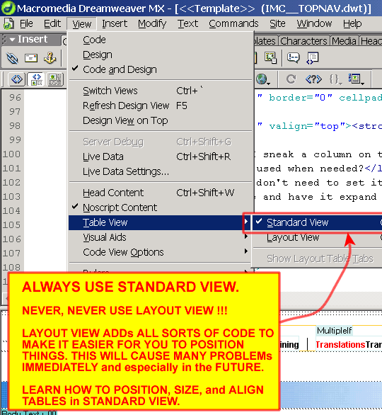 Layout View vs. Standard View